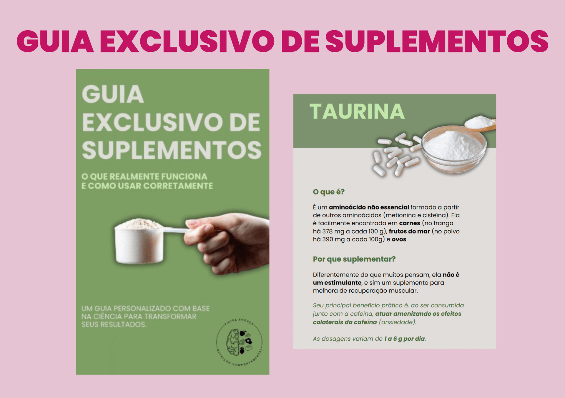 Guia exclusivo de suplementos