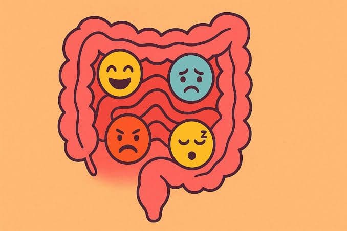 O intestino que também influencia o humor: o que a ciência sabe (e o que ainda não sabe)